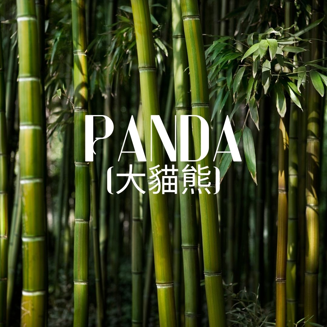 Panda Goat's Milk Bar Soap