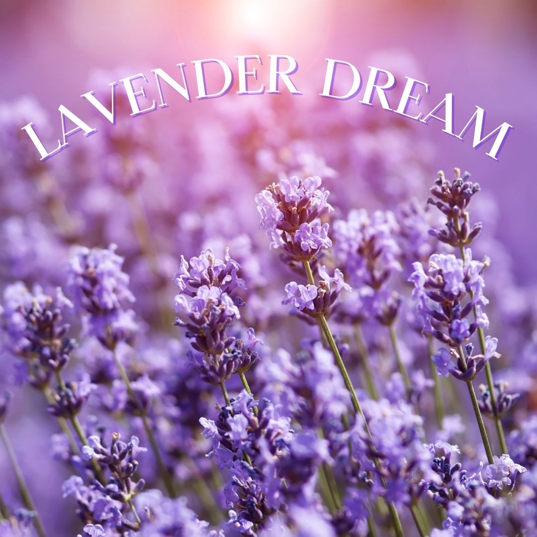 Lavender Dream Fabric Refreshening Spray