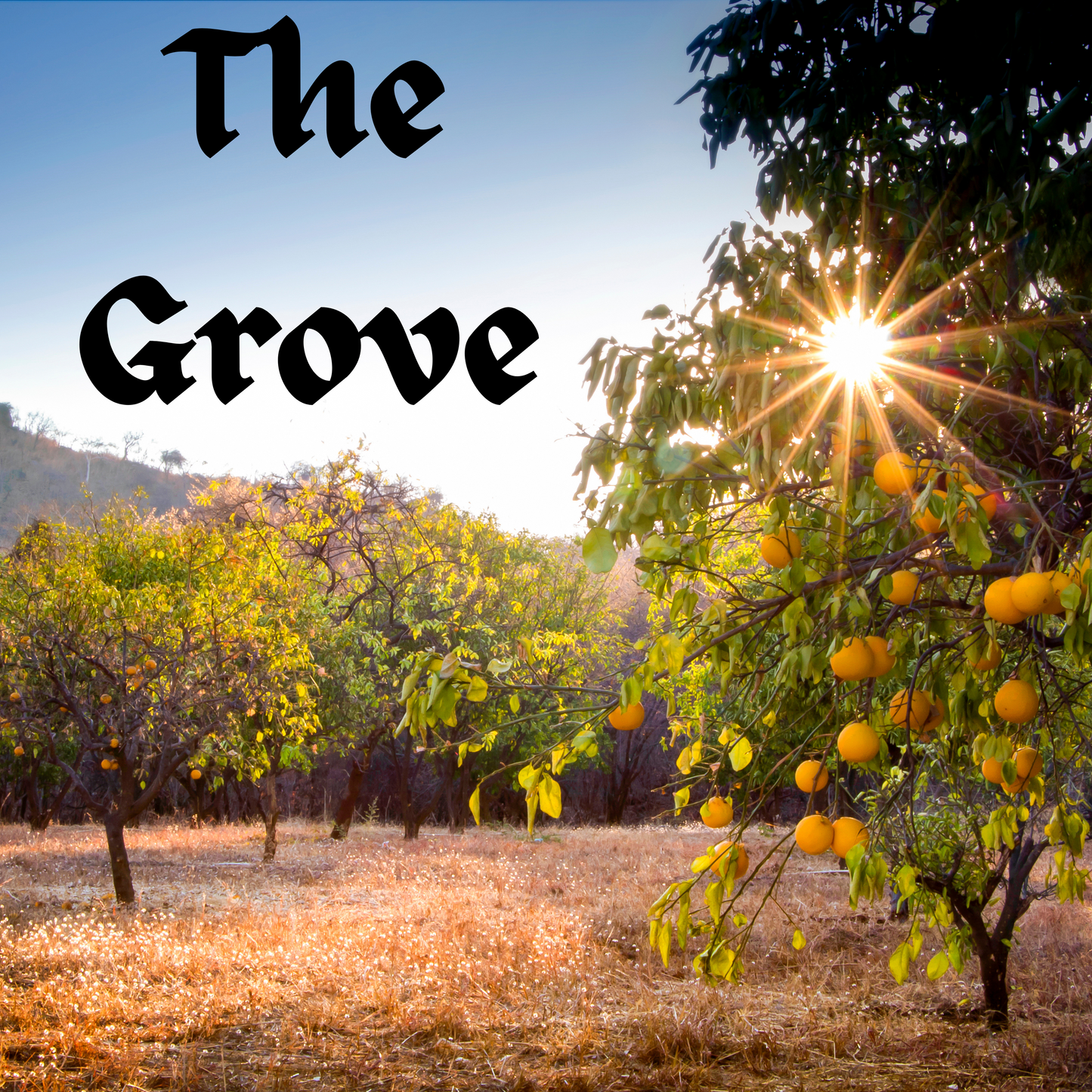 The Grove Wax Melt