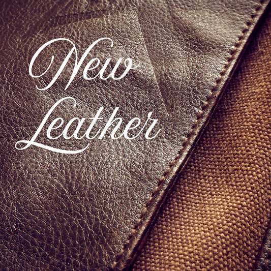 New Leather Vehicle Diffuser