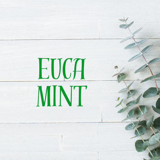 Eucamint Fabric Refreshening Spray