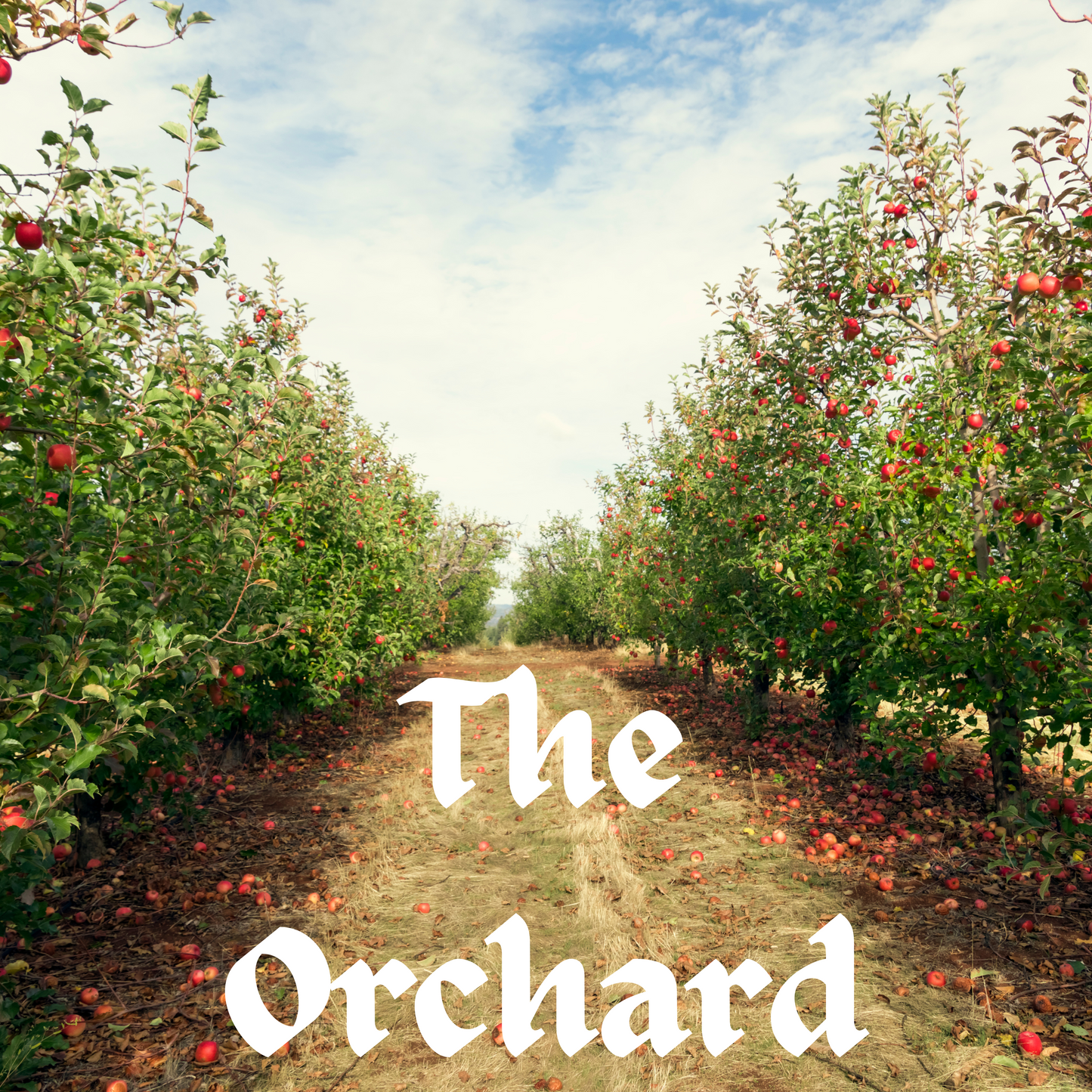 The Orchard Vehicle Diffuser