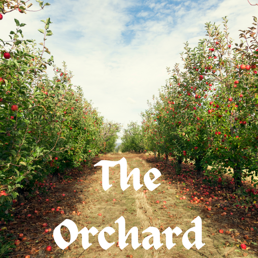 The Orchard All Natural Soy Candle (3.5 oz)